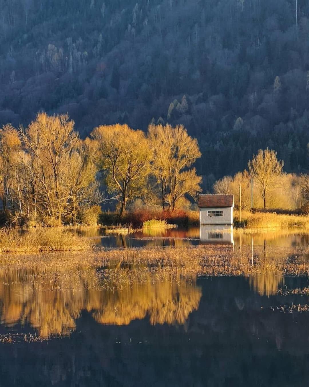Ferienwohnung Resi Mit Traumhaftem Seepanorama Штайндорф-ам-Оссиахер-Зее Экстерьер фото